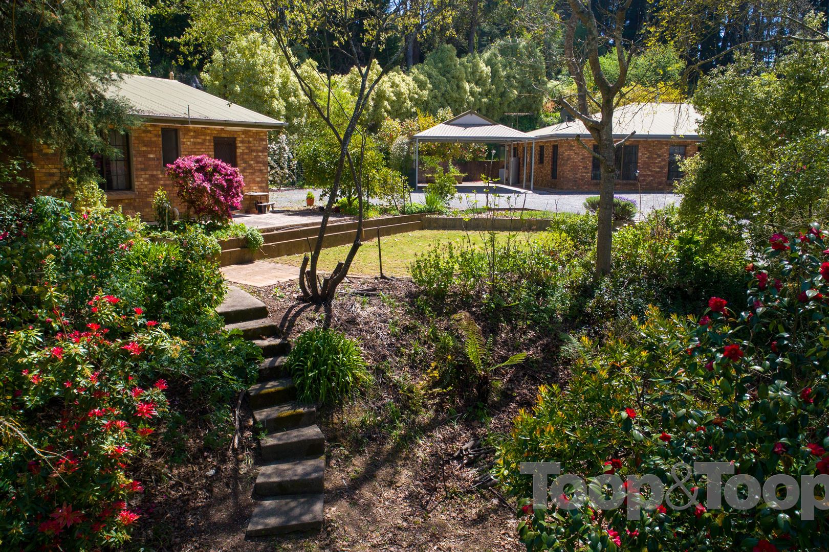 545 Piccadilly Road, Summertown SA 5141, Summertown - Thumbnail 4