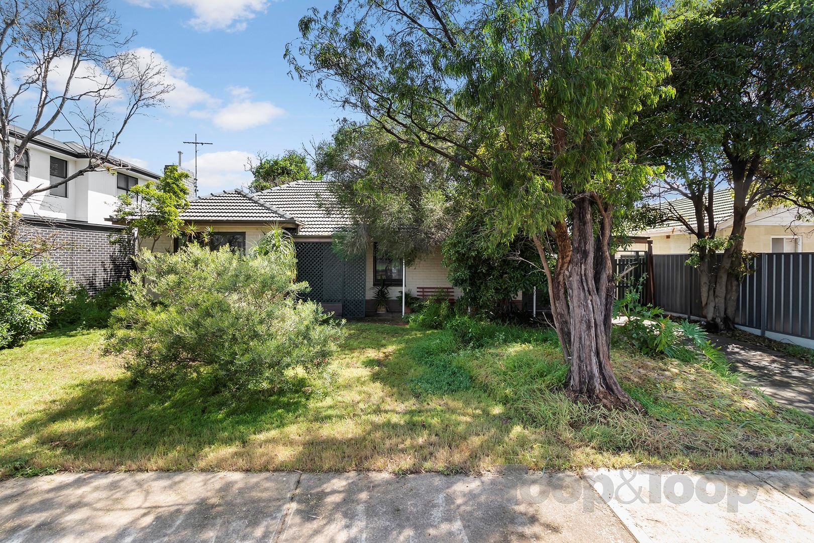 19 Sandison Avenue, Park Holme SA 5043, Park Holme - Thumbnail 2