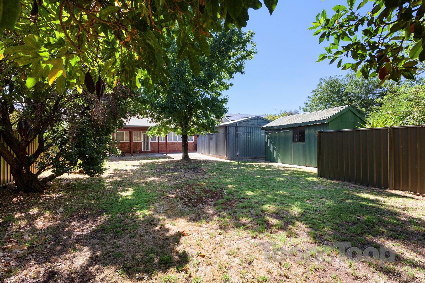 11 Lynington Street, Tusmore SA 5065, Tusmore - Thumbnail 4
