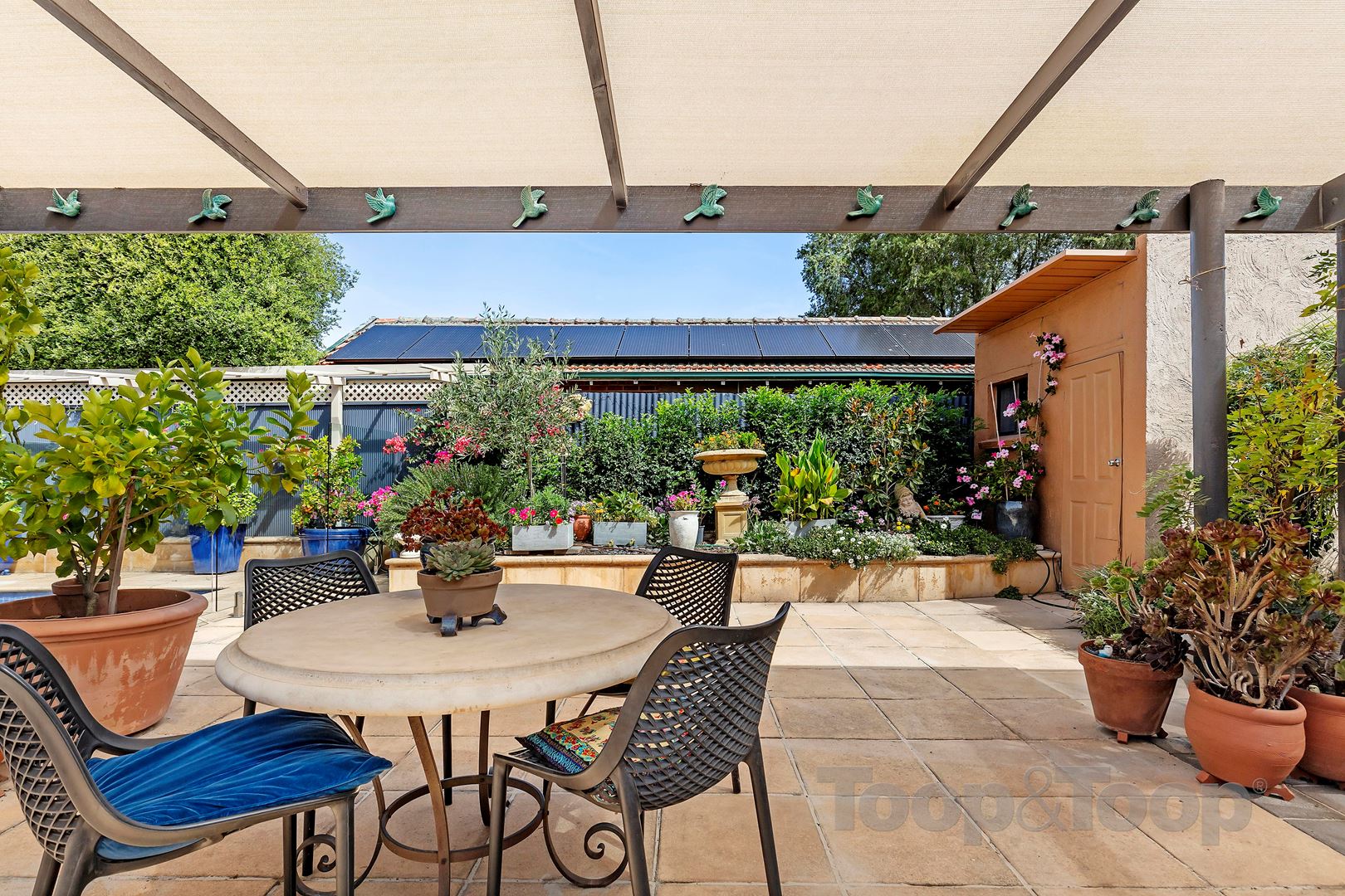20 Ormond Grove, Toorak Gardens SA 5065, Toorak Gardens - Thumbnail 6