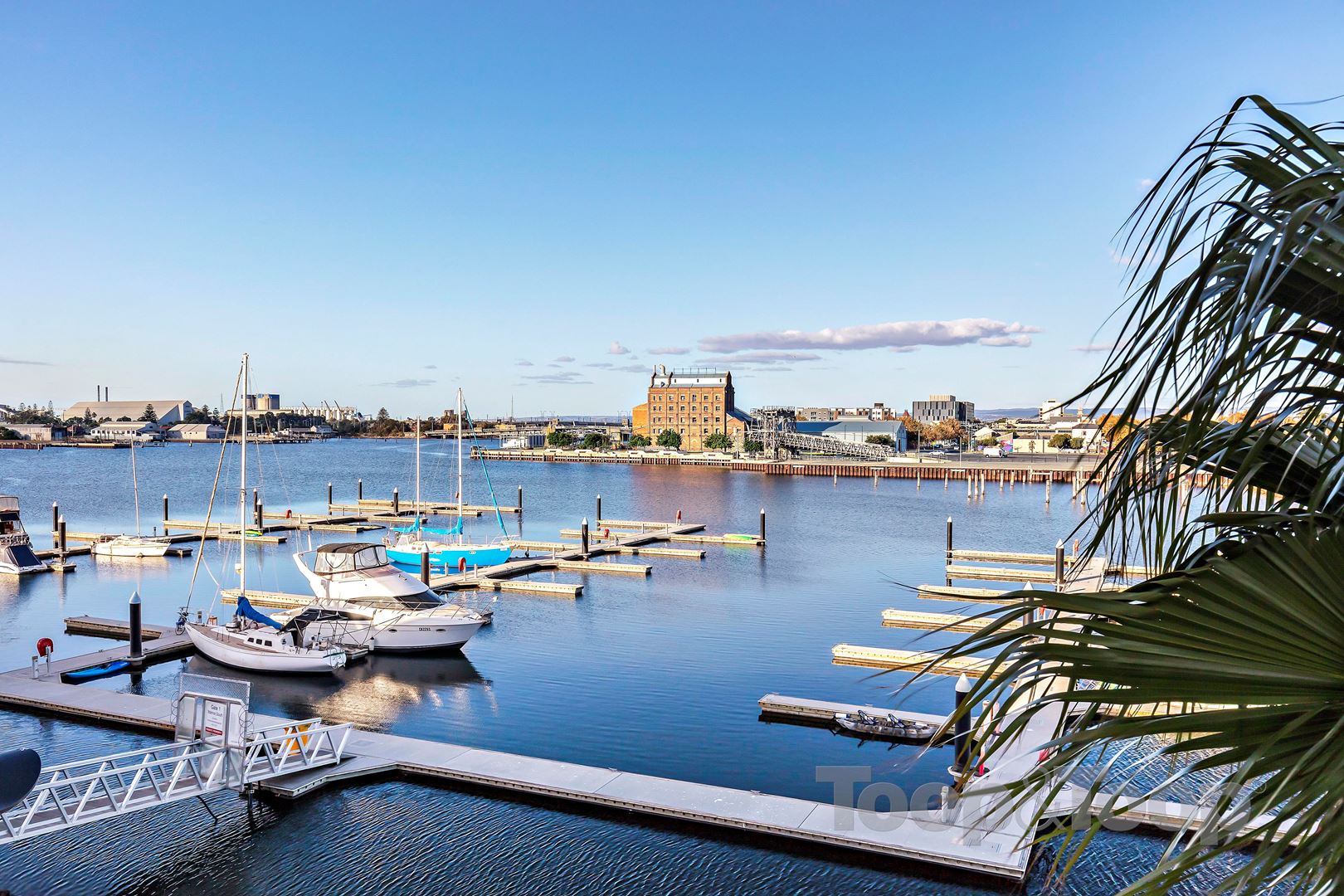 19 Tarni Court, New Port SA 5015, New Port - Thumbnail 3