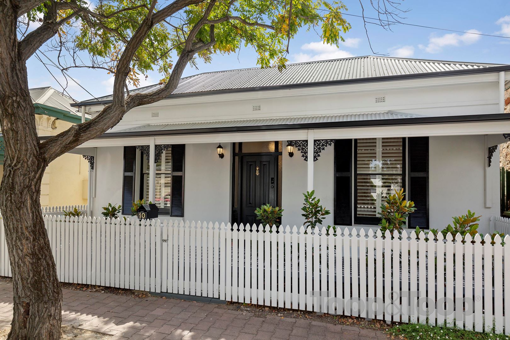 10 Dunks Street, Parkside SA 5063, Parkside - Thumbnail 3