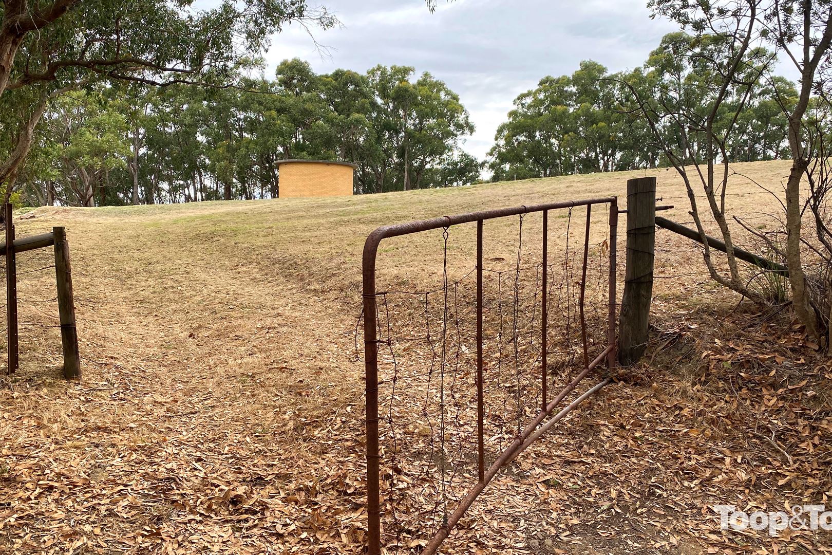 76 Coach Road, Ashton SA 5137, Ashton - Thumbnail 2