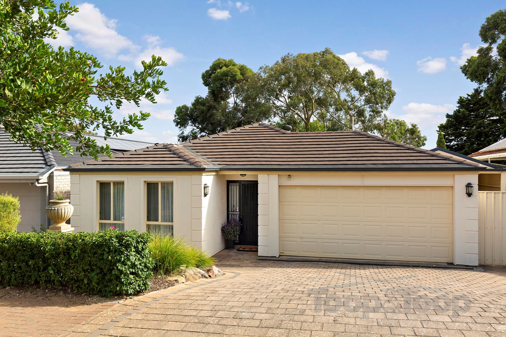 31 Giles Street, Magill SA 5072, Magill - Thumbnail 2