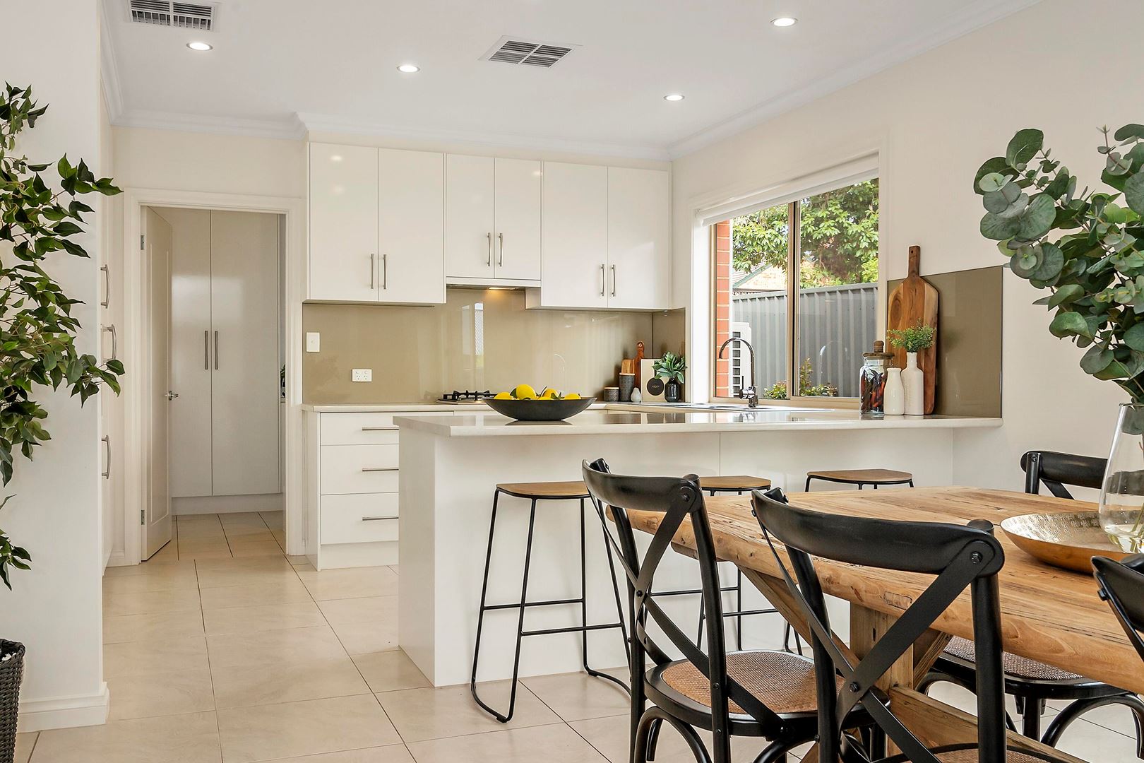 22 Broughton Street, Glenside SA 5065, Glenside - Thumbnail 7