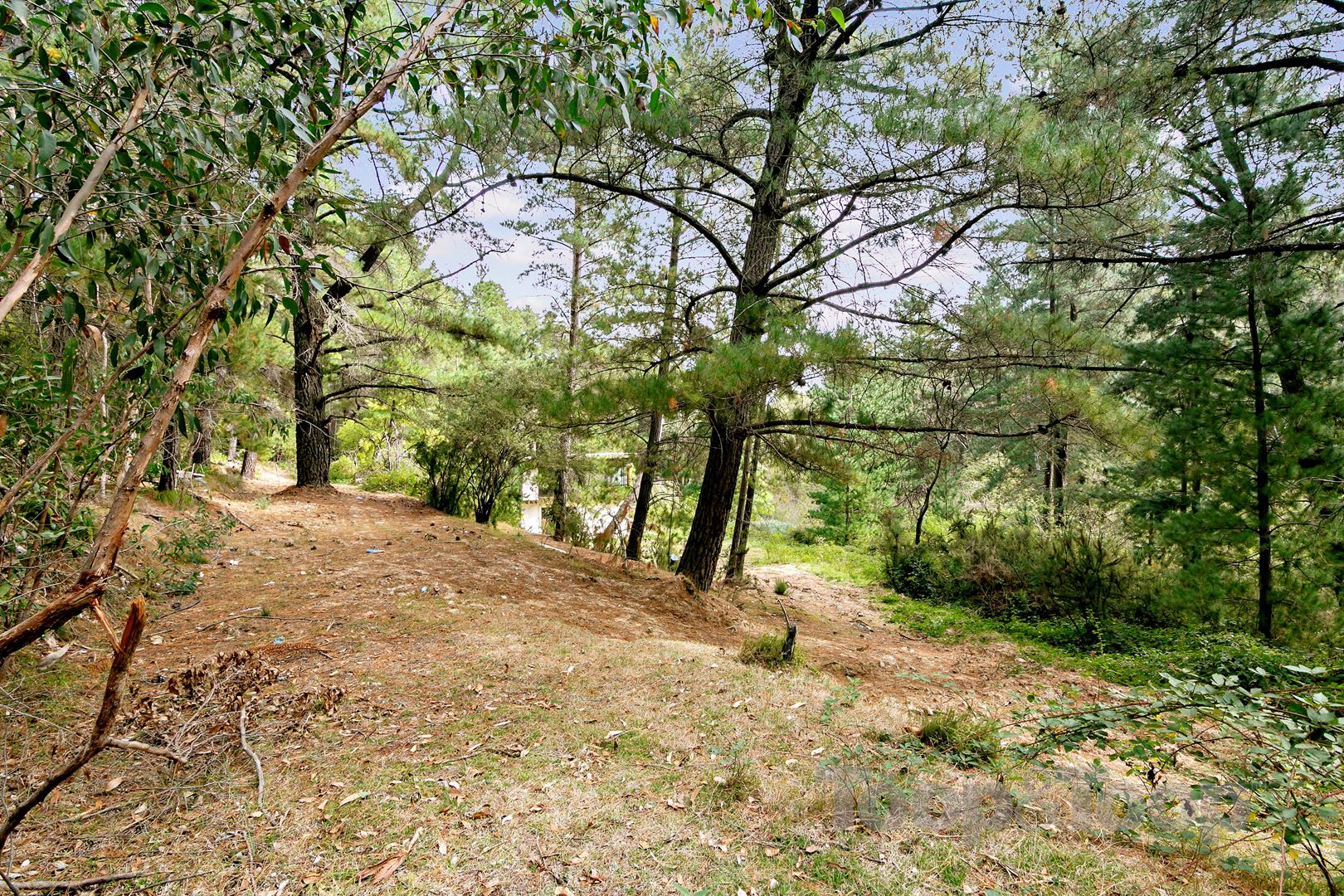 123 Ilunga Drive, Scott Creek SA 5153, Scott Creek - Thumbnail 4