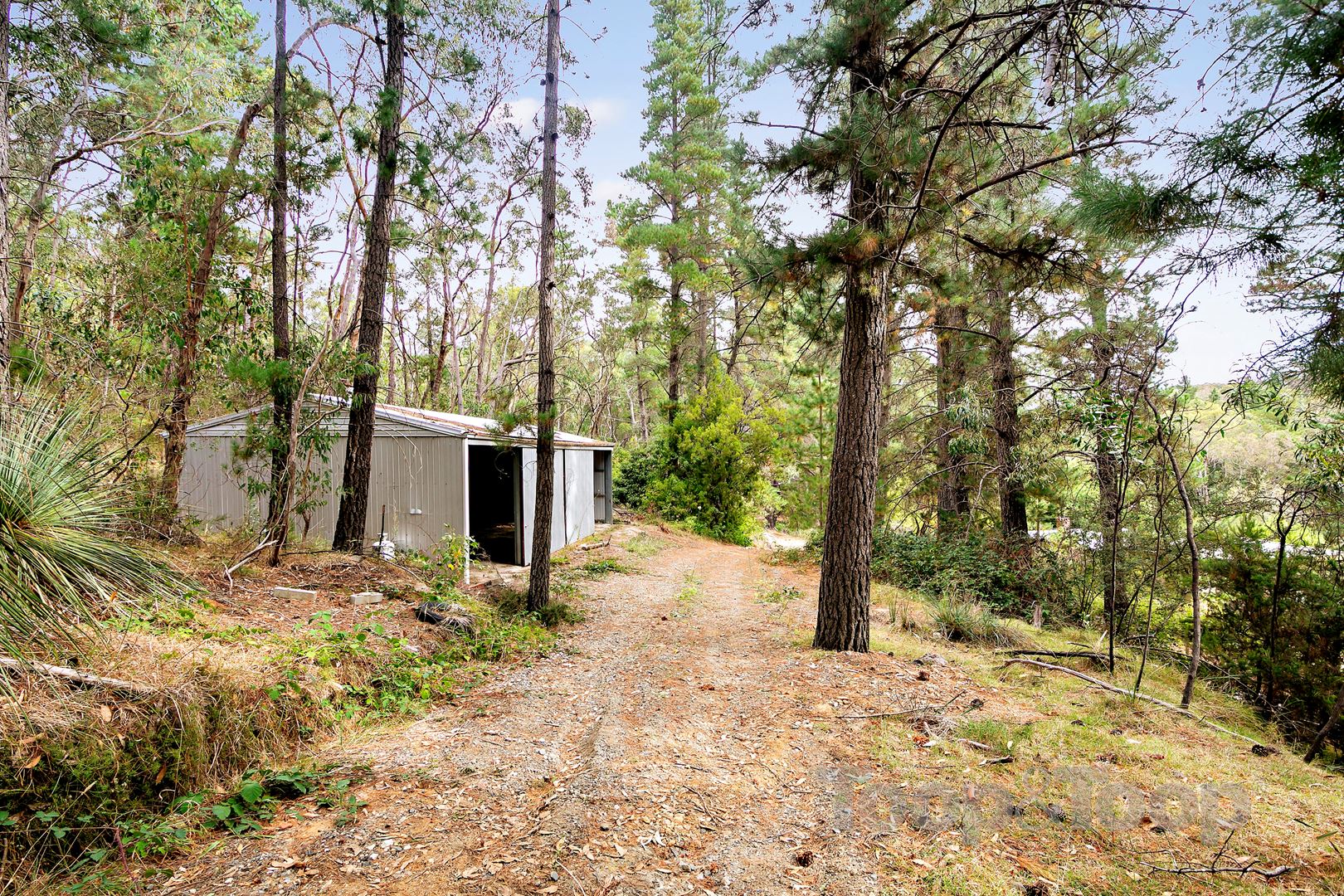 123 Ilunga Drive, Scott Creek SA 5153, Scott Creek - Thumbnail 8