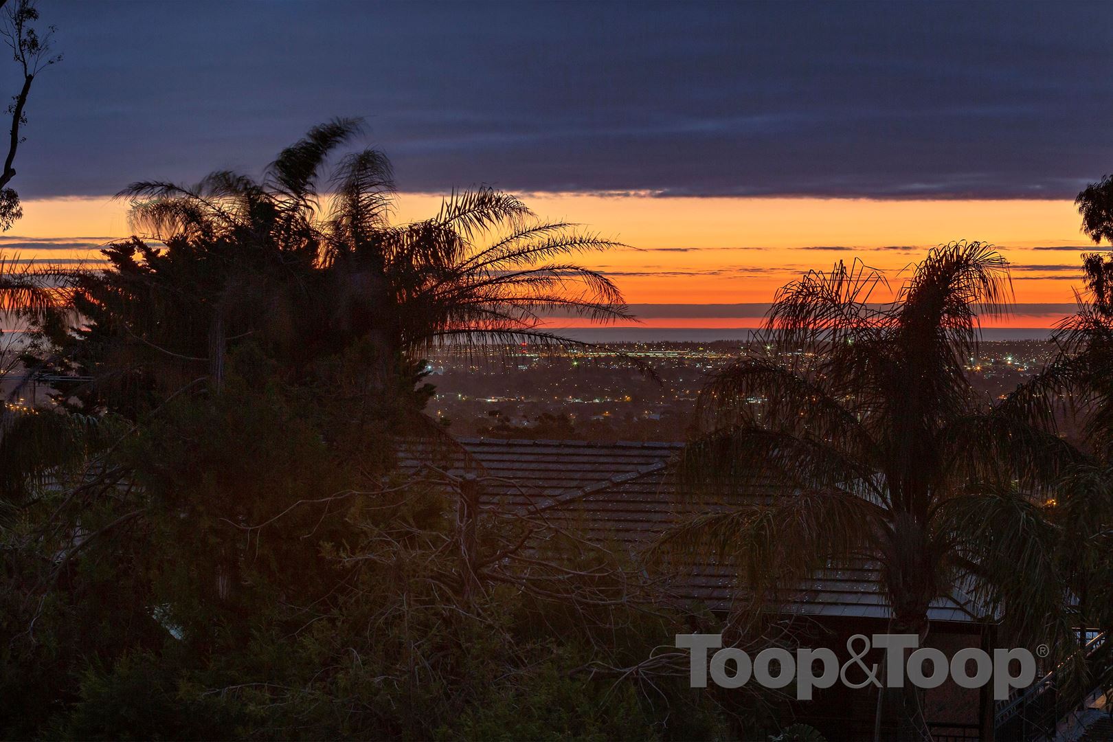 31 Willowood Drive, Urrbrae SA 5064, Urrbrae - Thumbnail 7