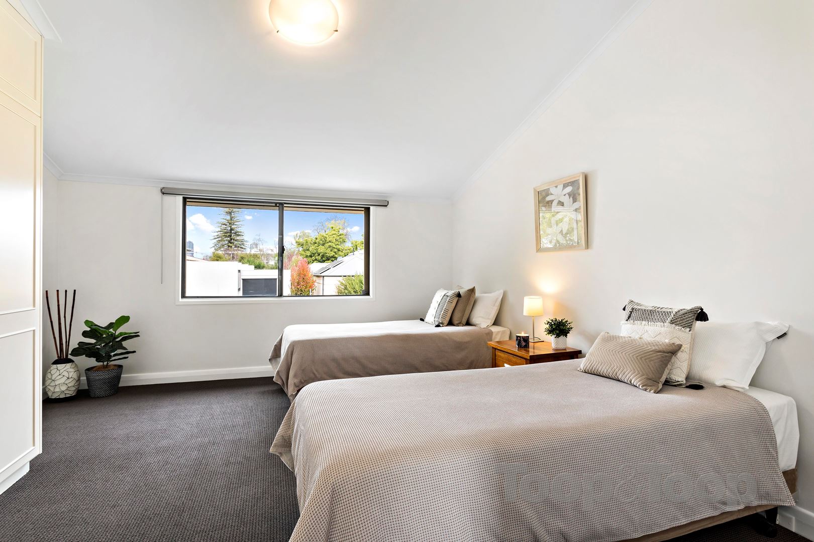 59 Archer Street, North Adelaide SA 5006, North Adelaide - Thumbnail 4