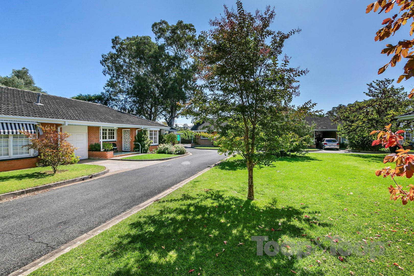 10 / 83 Tusmore Avenue, Tusmore SA 5065, Tusmore - Thumbnail 4