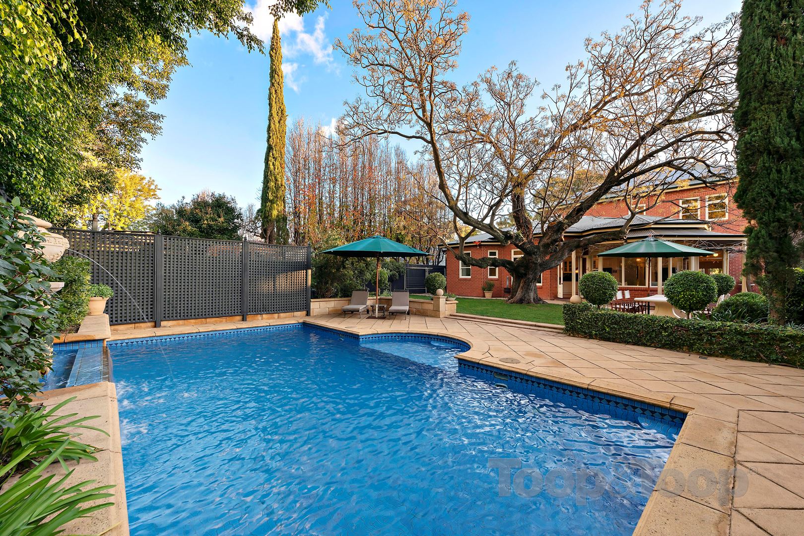 3 Godden Street, Hawthorn SA 5062, Hawthorn - Thumbnail 3