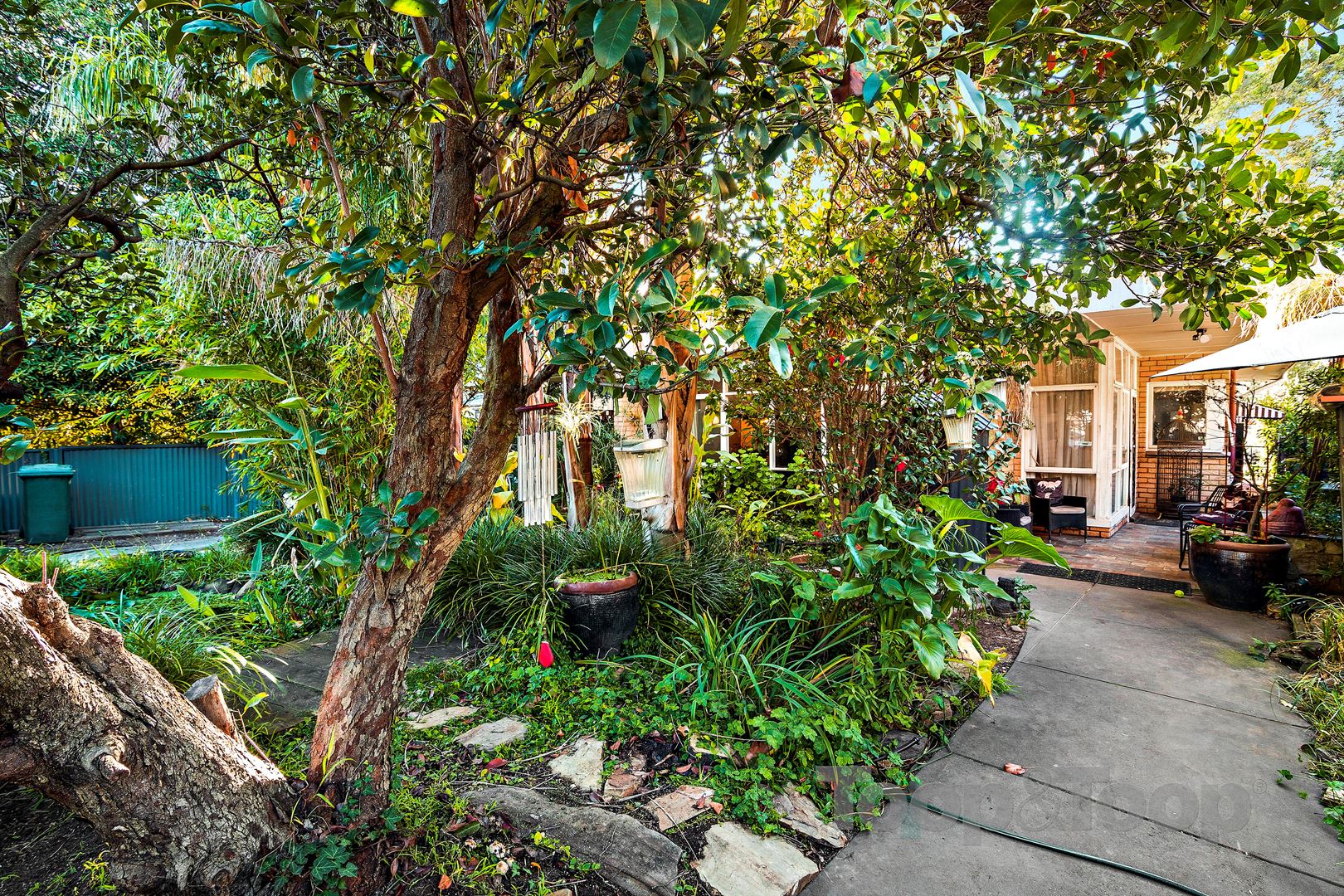 46 Eton Street, Malvern SA 5061, Malvern - Thumbnail 3