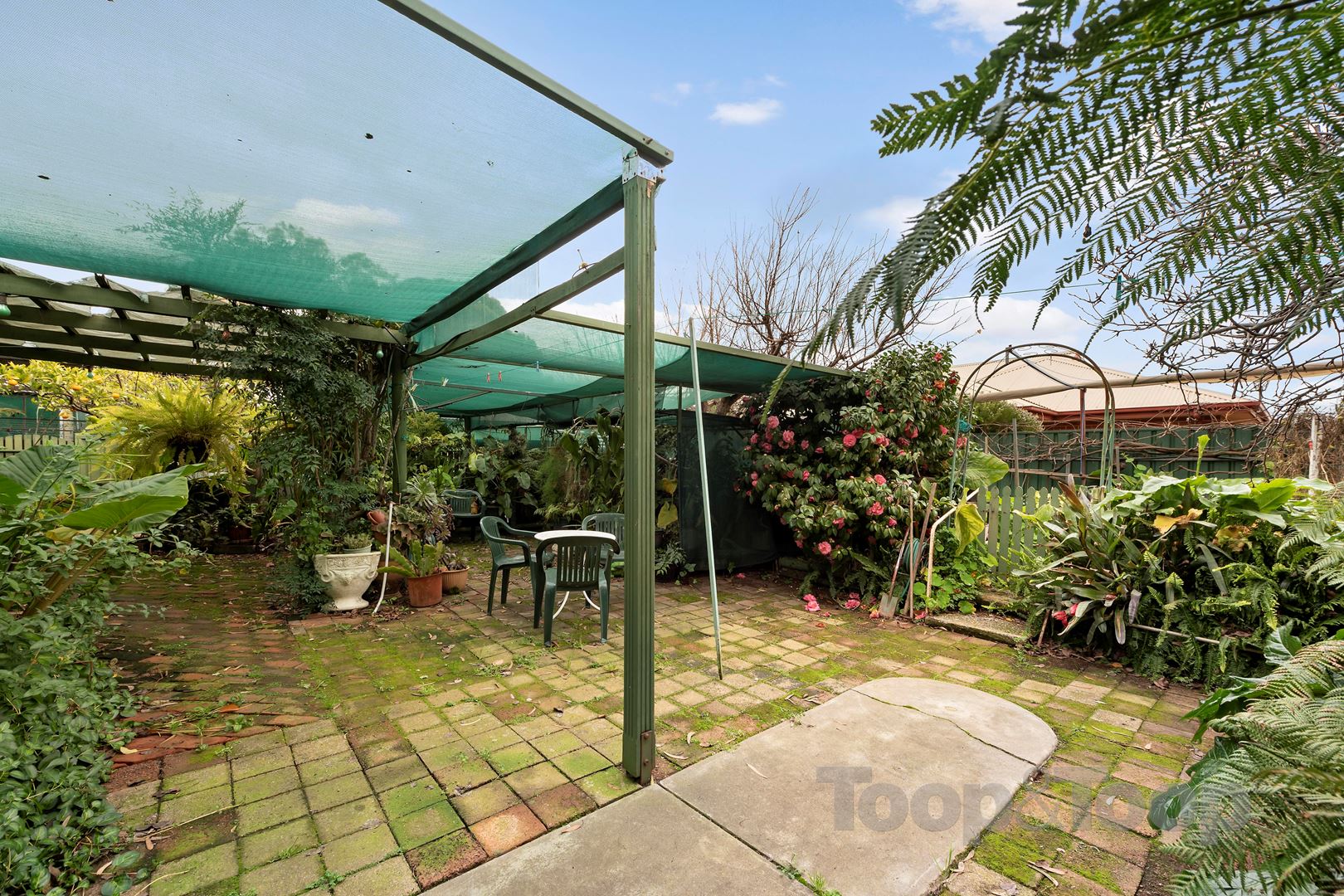 10 Naomi Terrace, Pasadena SA 5042 TOOP+TOOP