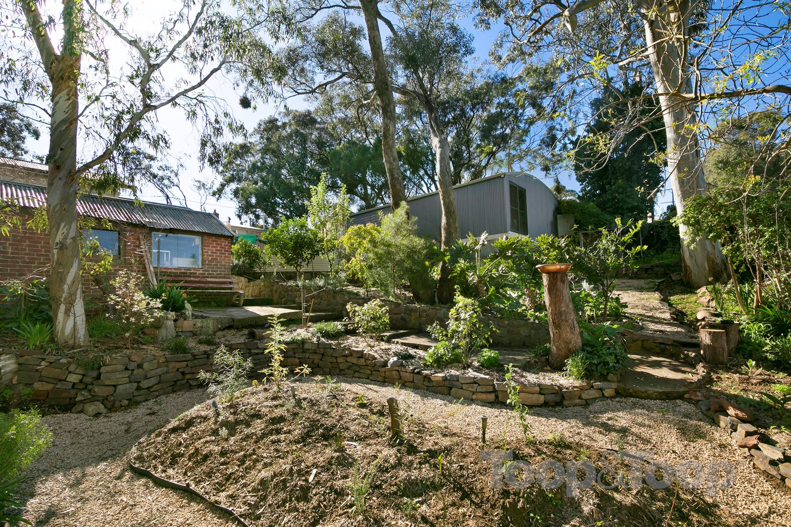 16 Louis Avenue, Hawthorndene SA 5051, Hawthorndene - Thumbnail 5