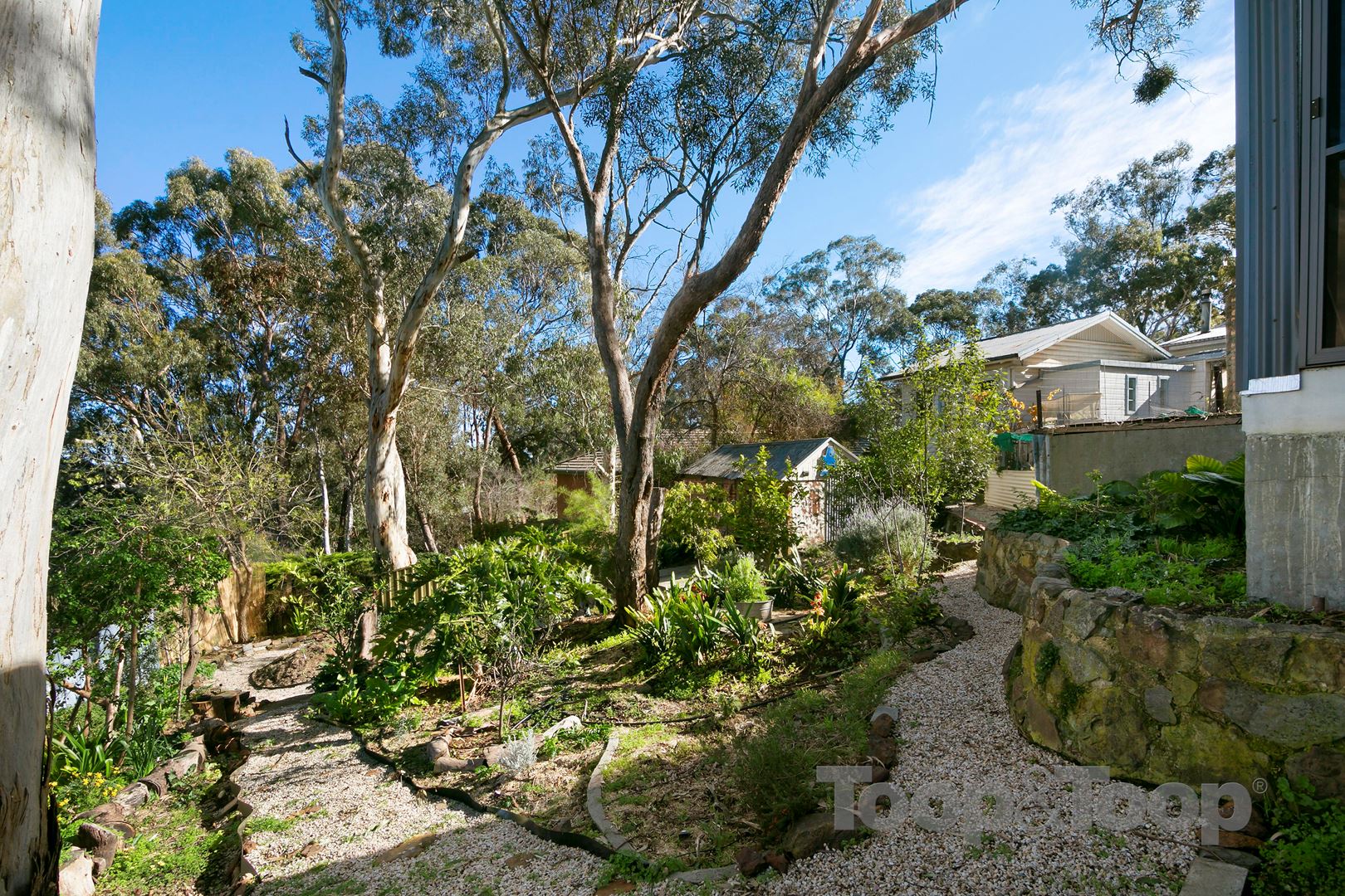 16 Louis Avenue, Hawthorndene SA 5051, Hawthorndene - Thumbnail 6