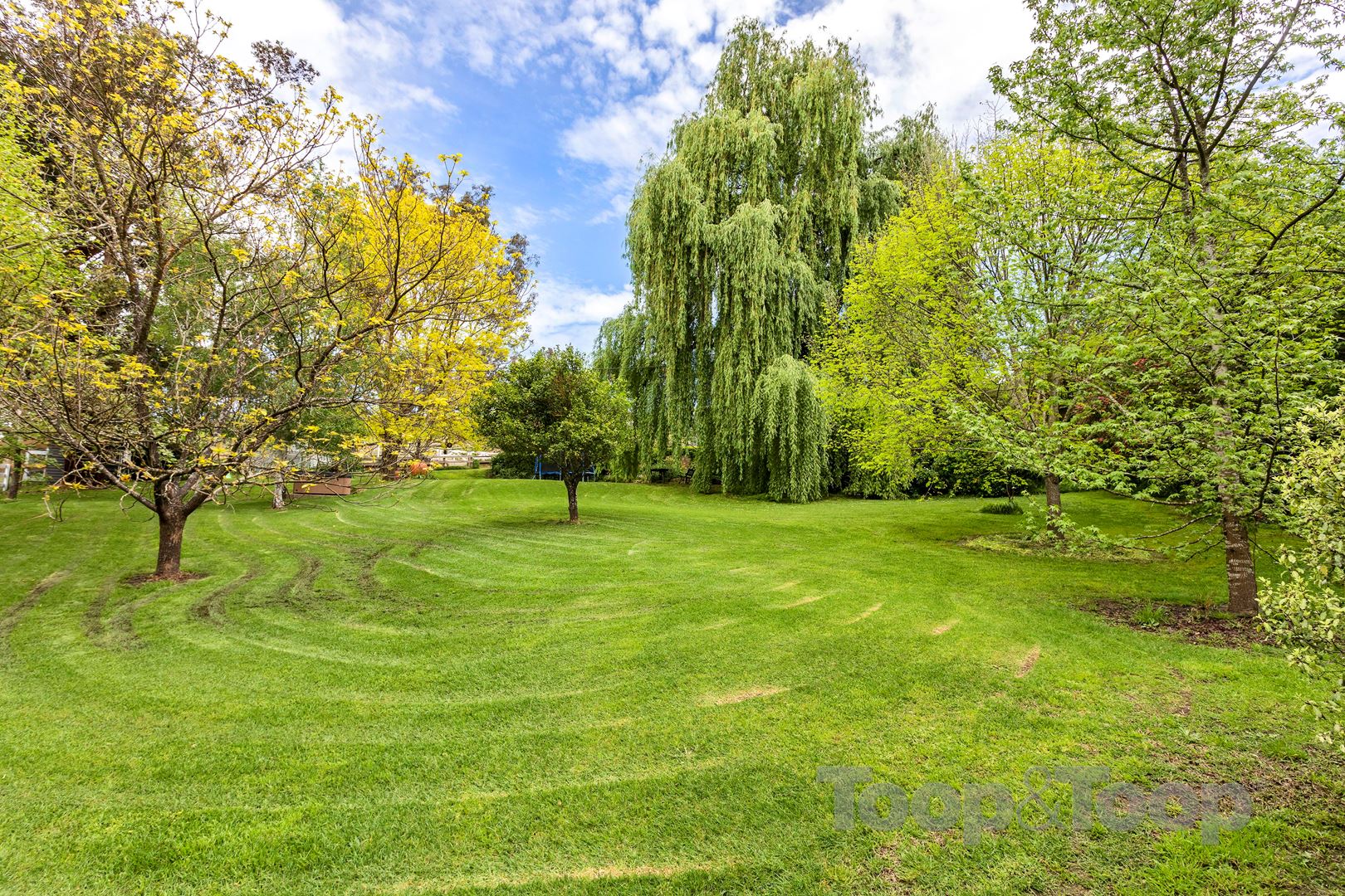 88a Western Branch Road, Lobethal SA 5241, Lobethal - Thumbnail 5