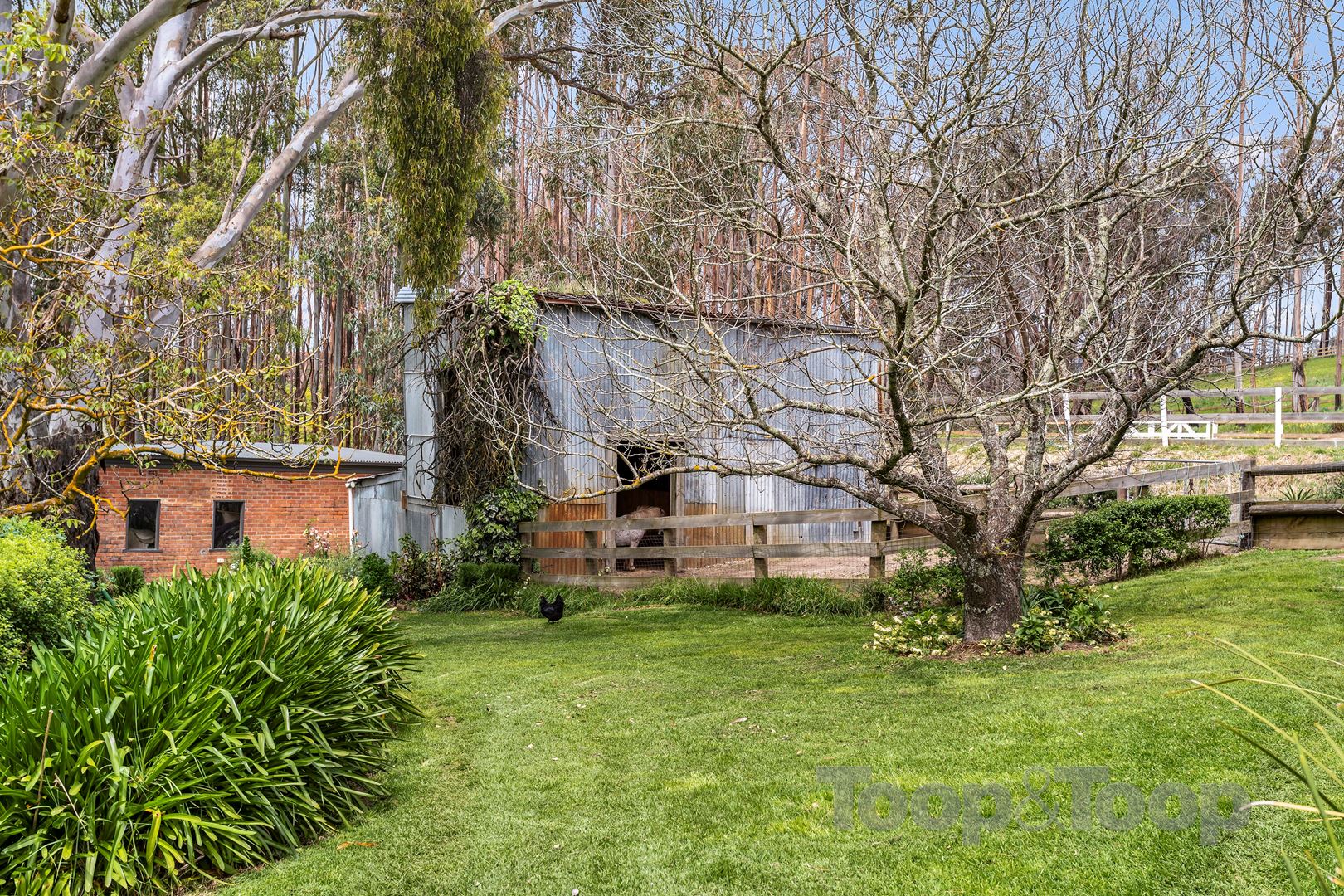 88a Western Branch Road, Lobethal SA 5241, Lobethal - Thumbnail 7