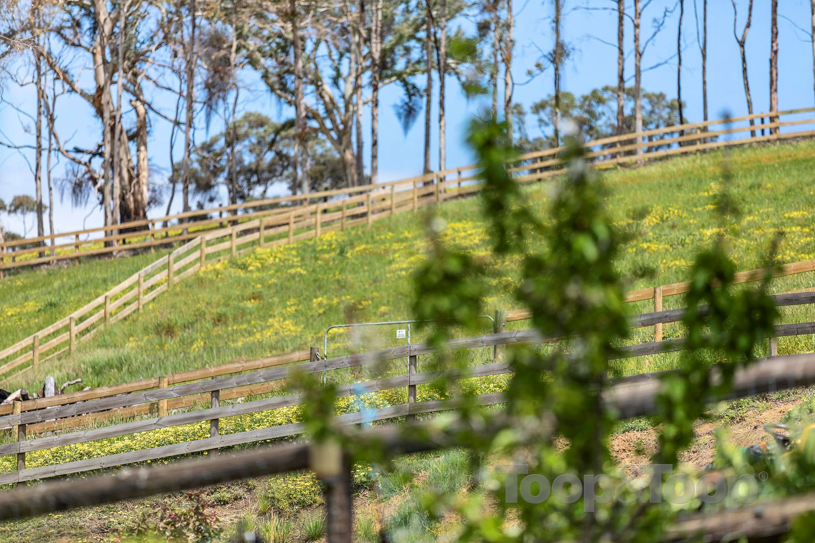 88a Western Branch Road, Lobethal SA 5241, Lobethal - Thumbnail 6