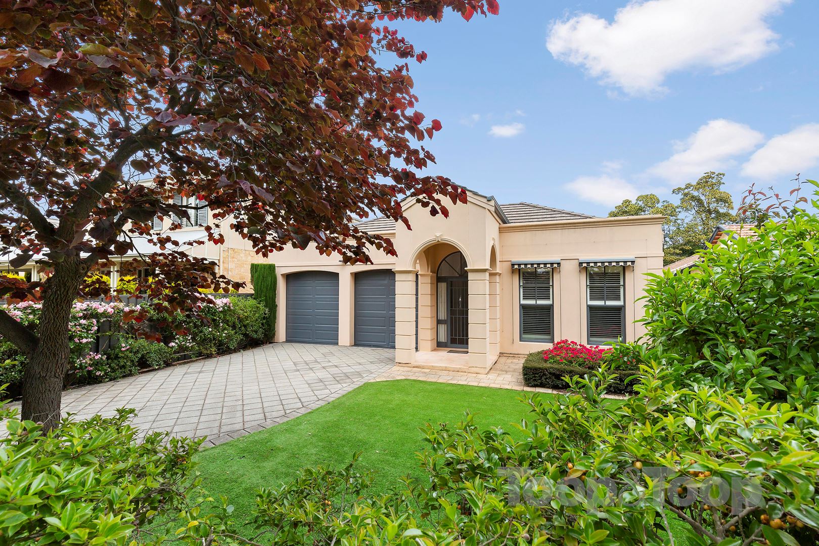 118 Alexandra Avenue, Toorak Gardens SA 5065