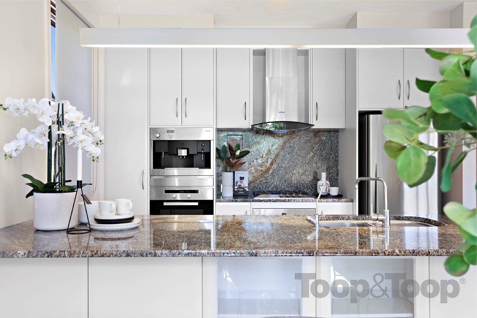 11 Phillips Street, Kensington SA 5068, Kensington - Thumbnail 6