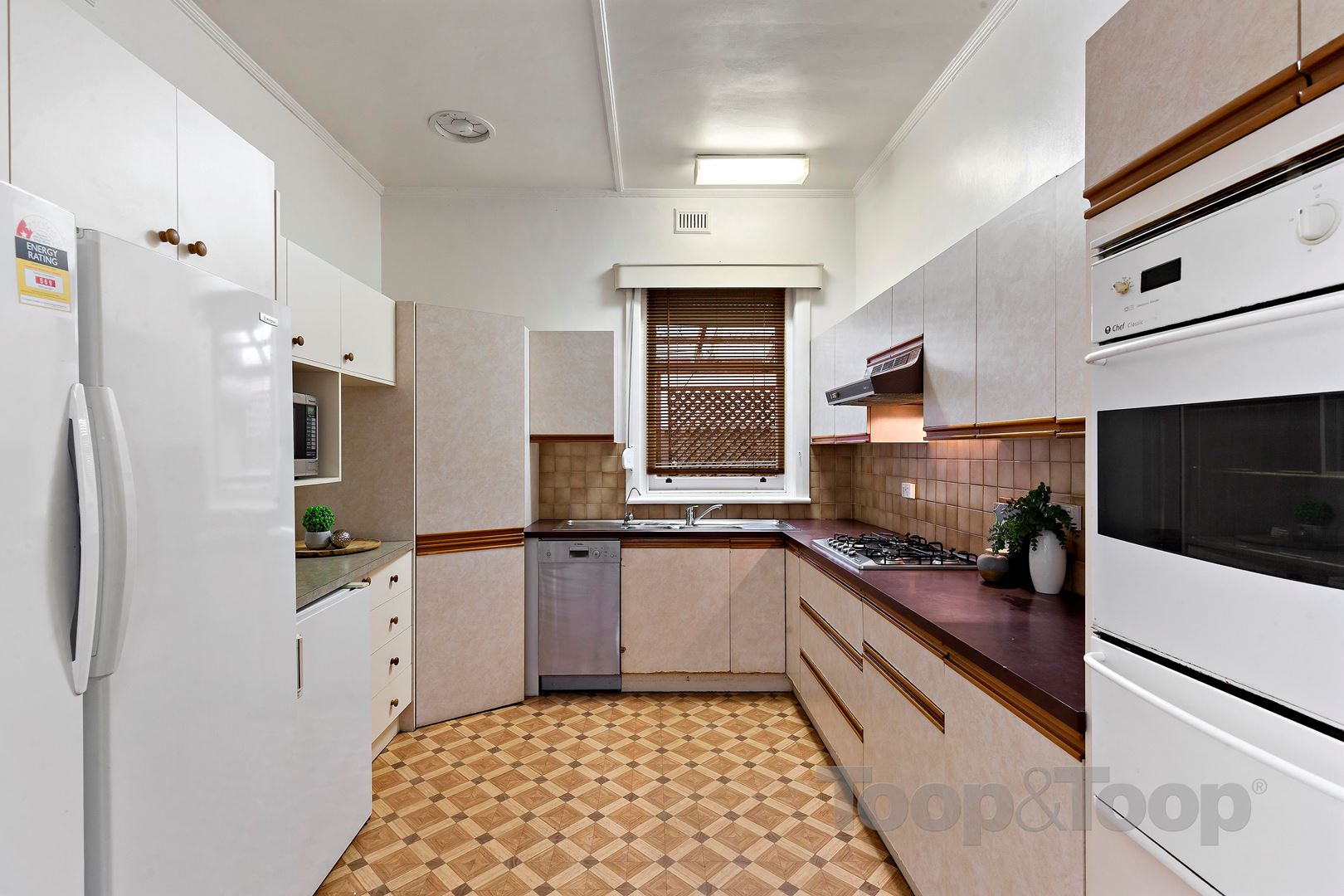 19 Gardner Avenue, West Croydon SA 5008, West Croydon - Thumbnail 5