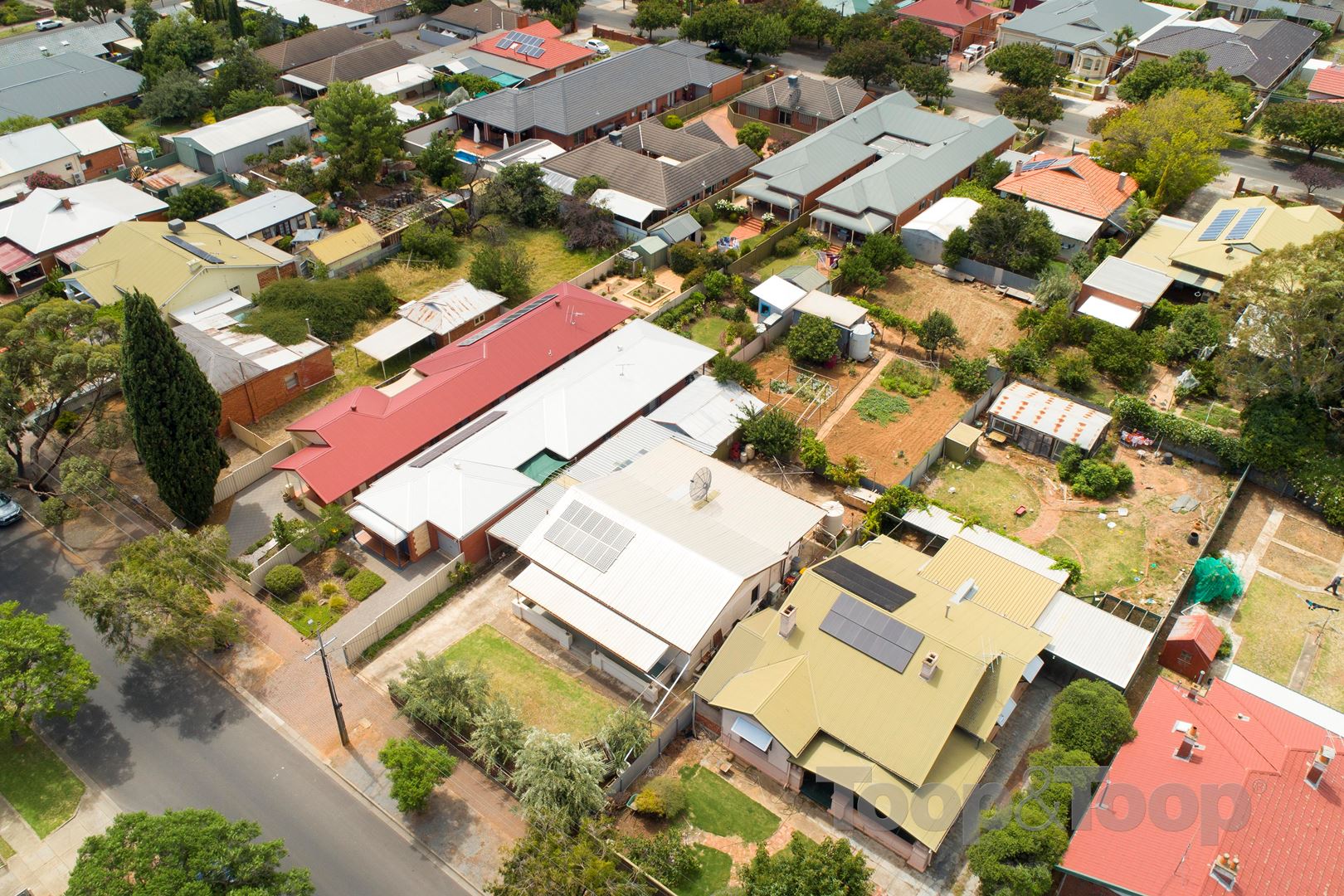 8 Thomas Avenue, St Morris SA 5068, St Morris - Thumbnail 5