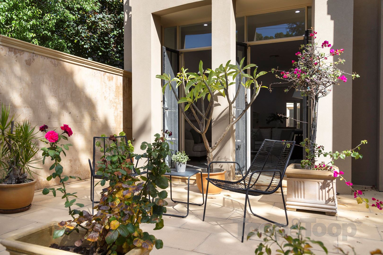 30 Mills Terrace, North Adelaide SA 5006, North Adelaide - Thumbnail 2
