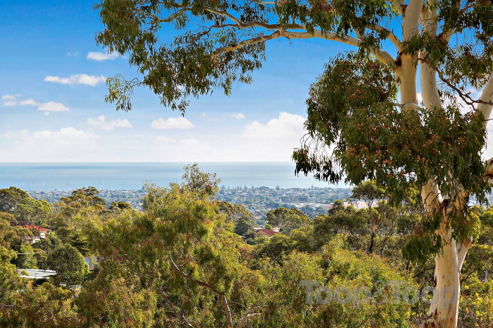 164 Shepherds Hill Road, Bellevue Heights SA 5050, Bellevue Heights - Thumbnail 4