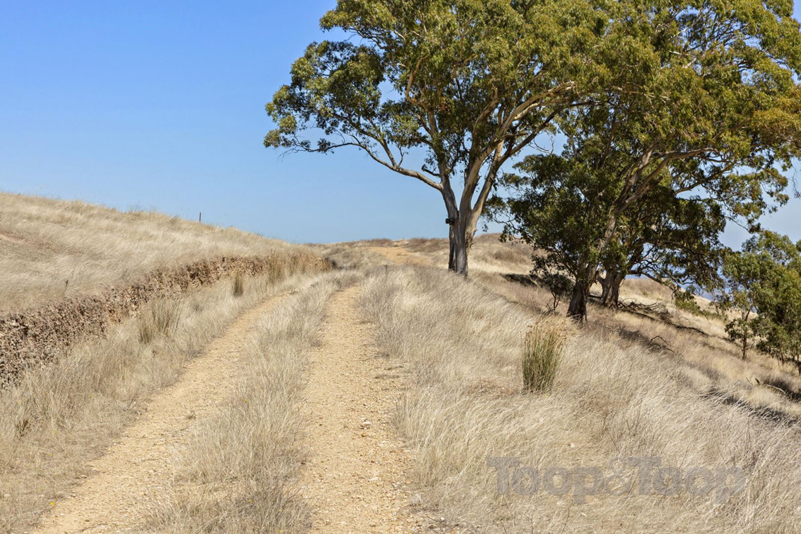 81A Ridge Road, Summertown SA 5141, Summertown - Thumbnail 6