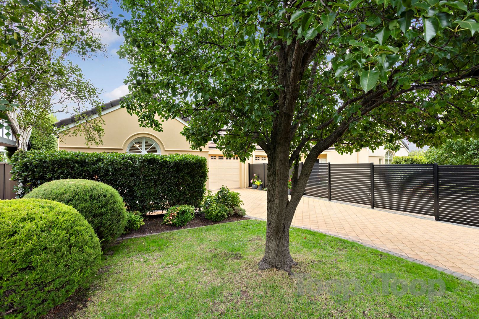 50A Princes Road, Torrens Park SA 5062, Torrens Park - Thumbnail 2