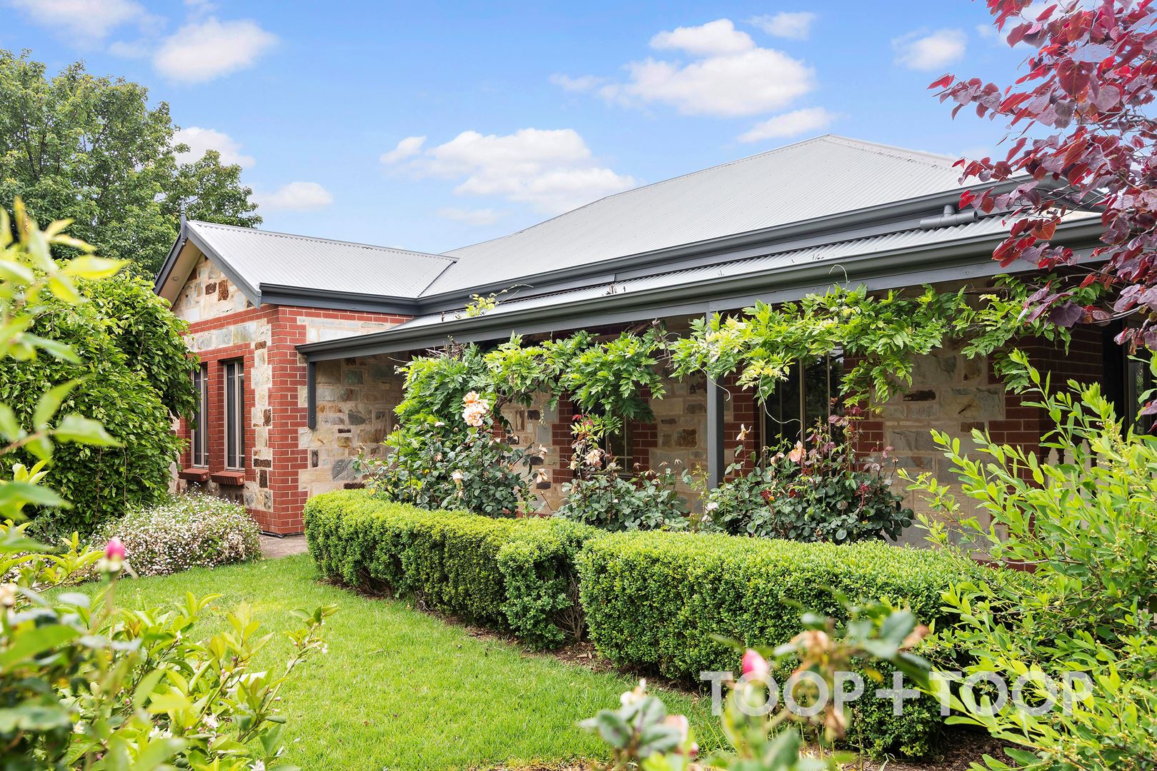 80 Burnbank Way, Mount Barker SA 5251, Mount Barker - Thumbnail 2