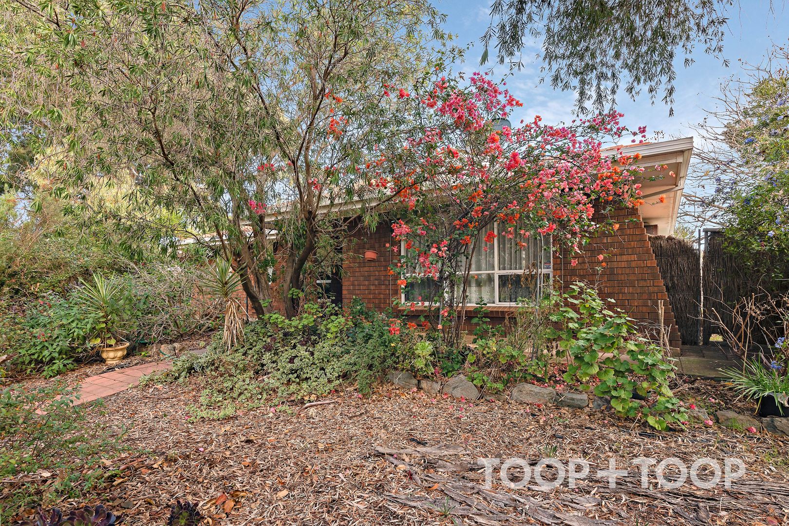 38 Barrdickson Crescent, Happy Valley SA 5159, Happy Valley - Thumbnail 2