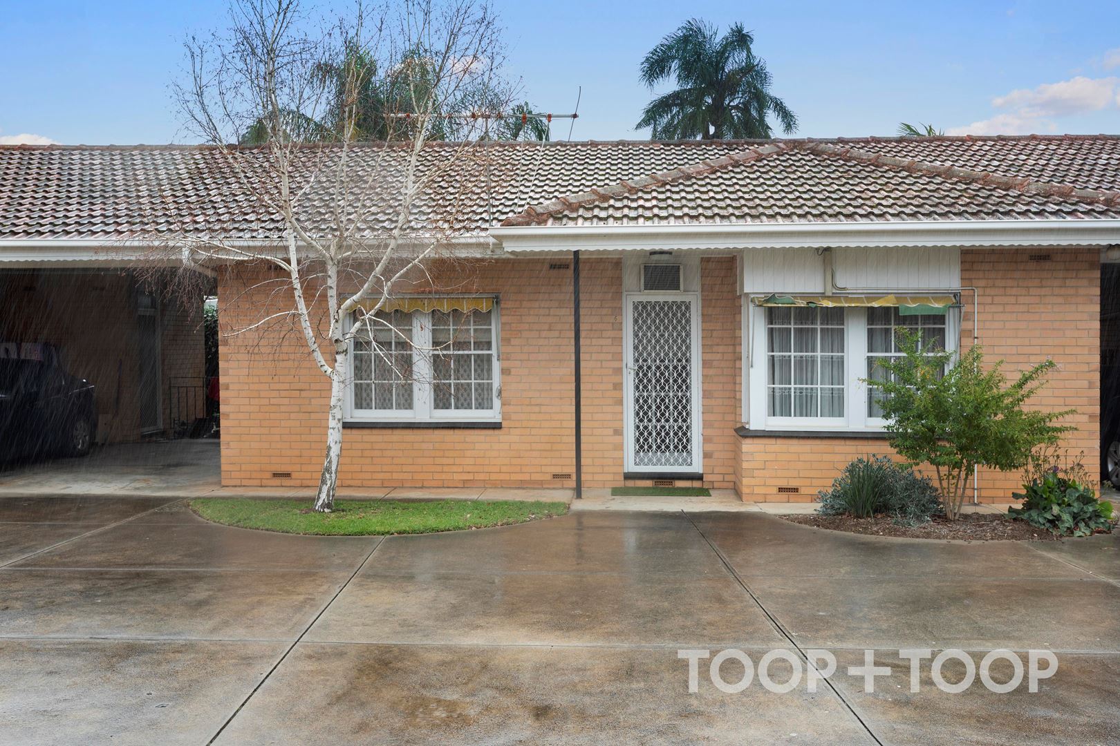 6 / 427 Kensington Road, Rosslyn Park SA 5072, Rosslyn Park - Image 1