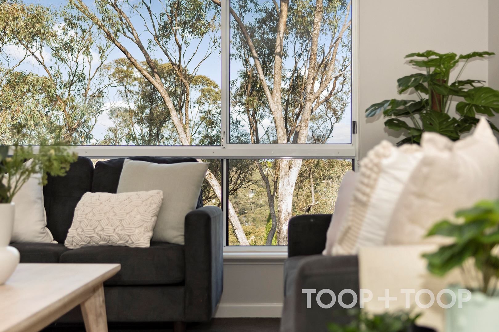 13 Ralph Avenue, Belair SA 5052, Belair - Thumbnail 6