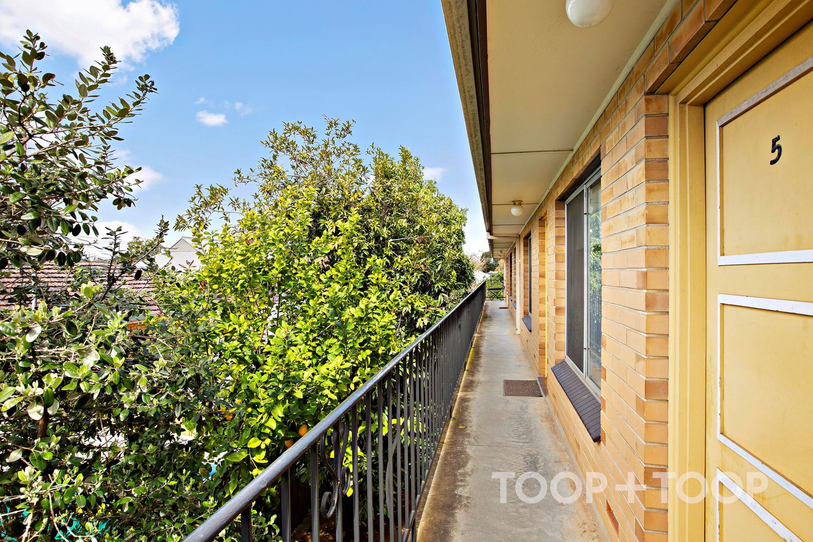 16 Grange Road, West Hindmarsh SA 5007, West Hindmarsh - Thumbnail 3