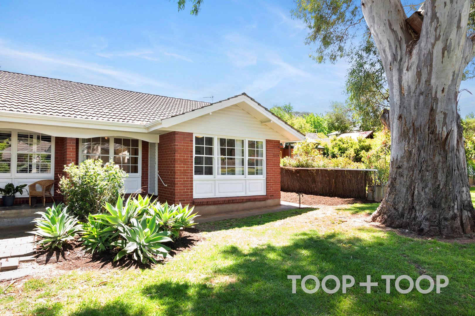 2 / 11 Grandview Avenue, Urrbrae SA 5064, Urrbrae - Image 1