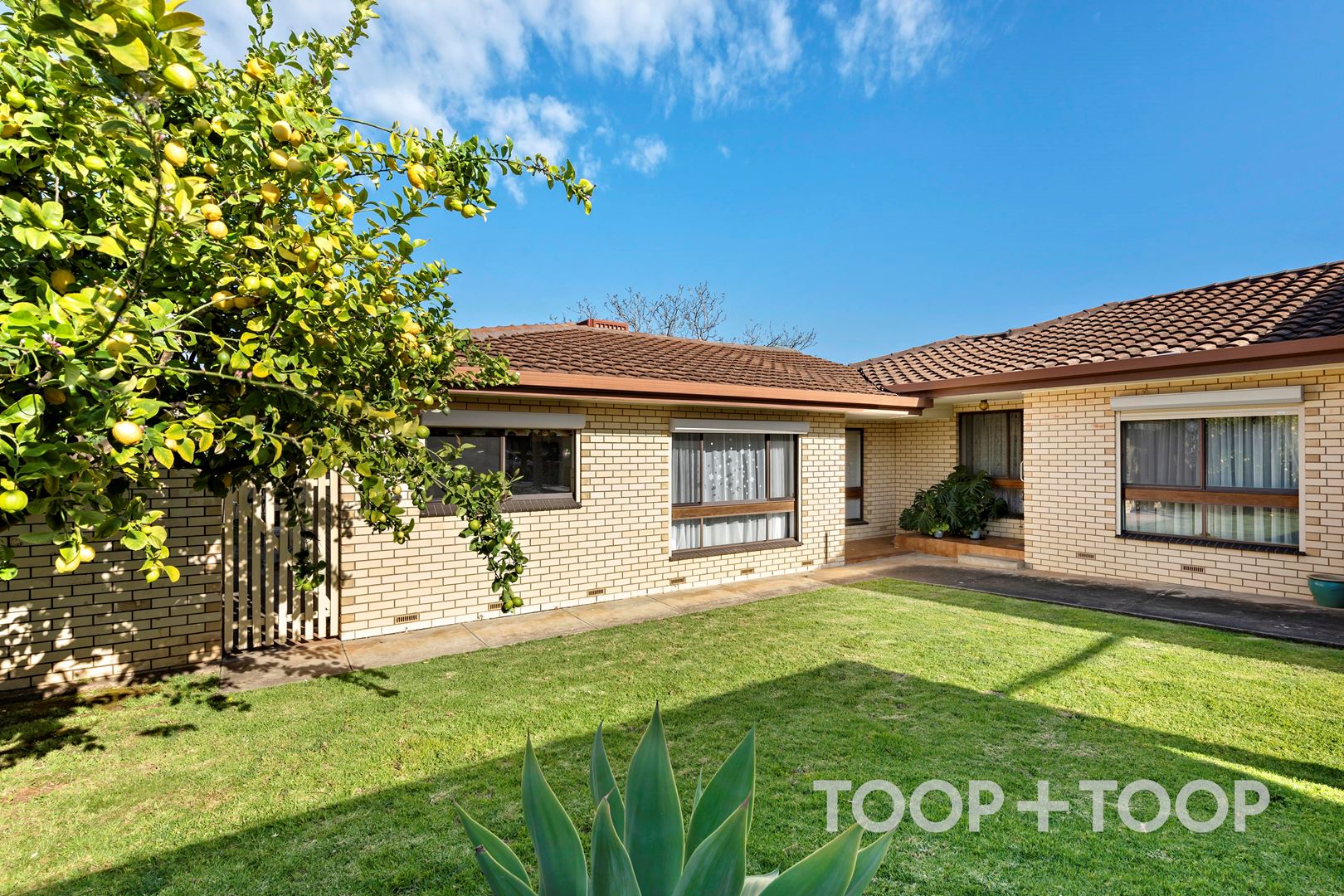 3 / 3 Frank Street, St Morris SA 5068, St Morris - Thumbnail 2