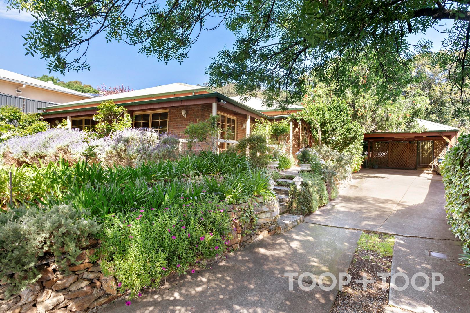34 Kays Road, Torrens Park SA 5062, Torrens Park - Thumbnail 2