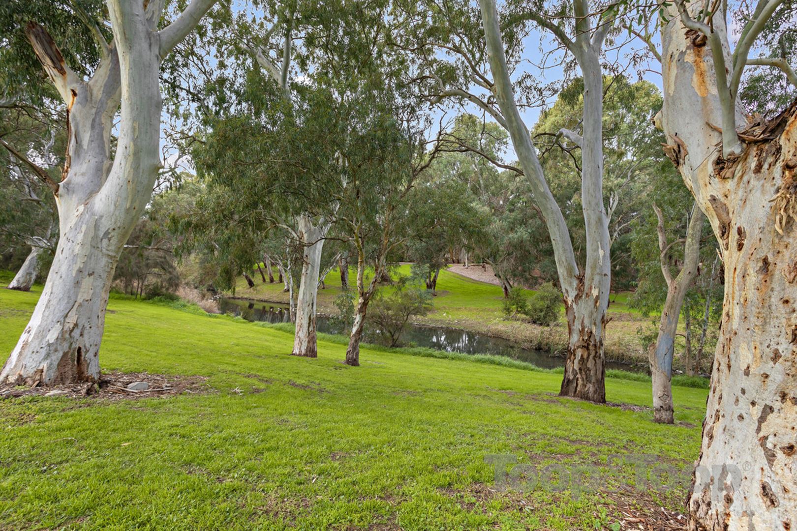 7 / 13 Mclauchlan Road, Windsor Gardens SA 5087, Windsor Gardens - Thumbnail 3