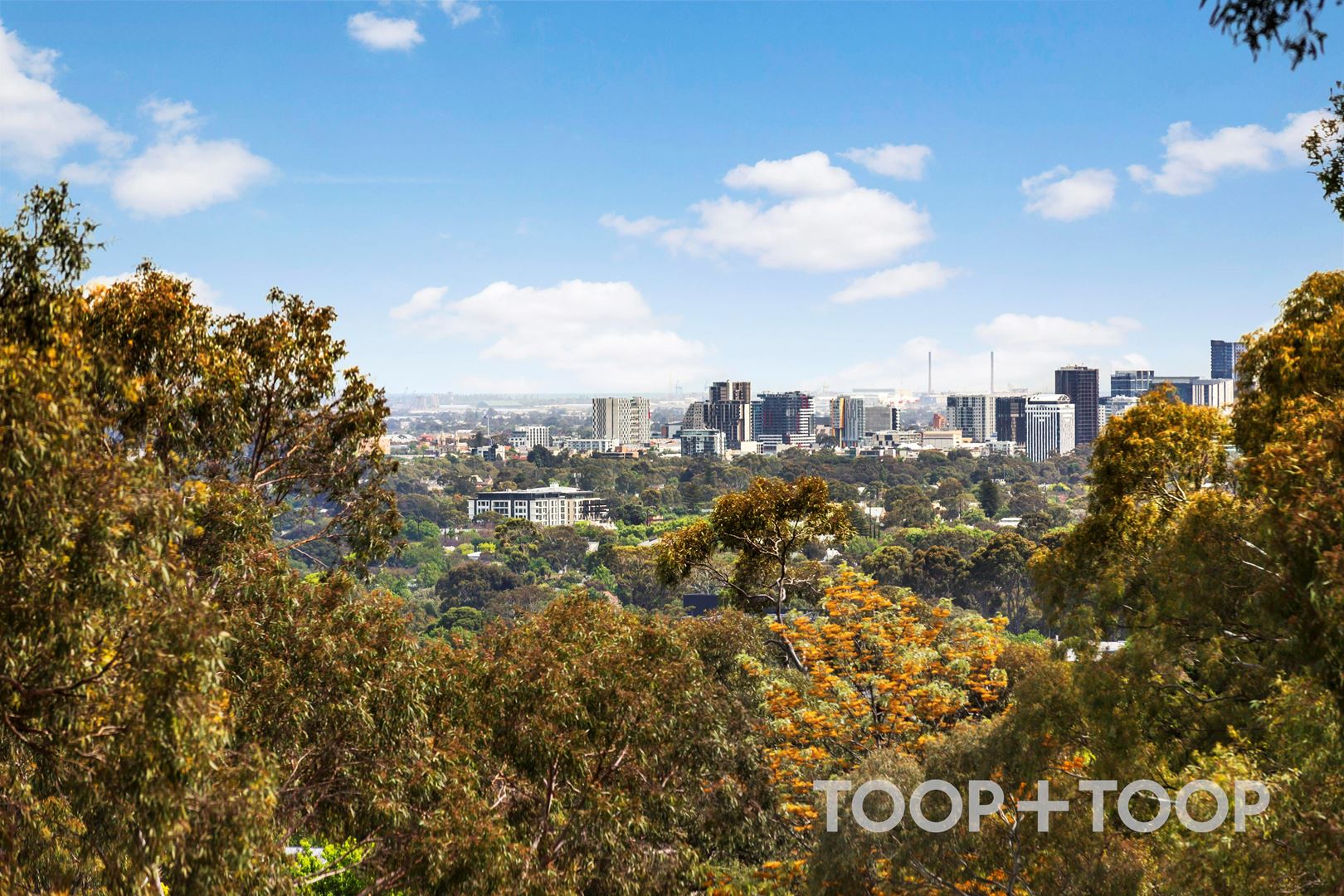 4A Hoggs Road, Mitcham SA 5062, Mitcham - Thumbnail 6