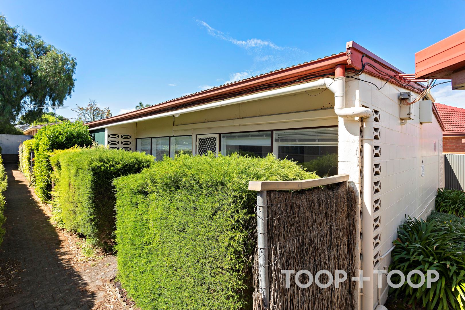1 / 20 Lassie Avenue, Windsor Gardens SA 5087, Windsor Gardens - Thumbnail 8