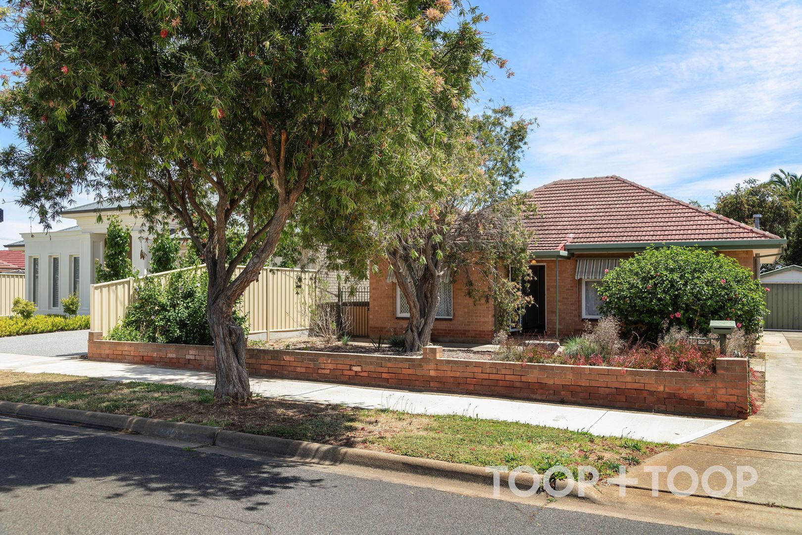 26 Gould Street, Flinders Park SA 5025, Flinders Park - Thumbnail 3