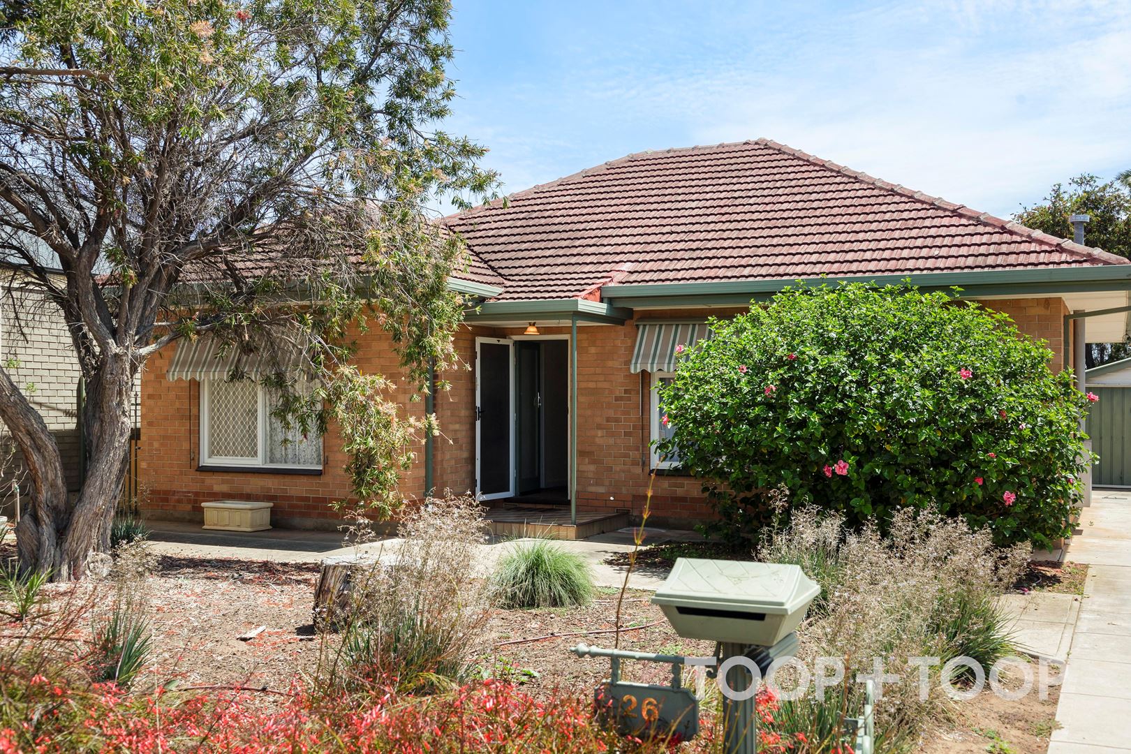 26 Gould Street, Flinders Park SA 5025, Flinders Park - Thumbnail 4