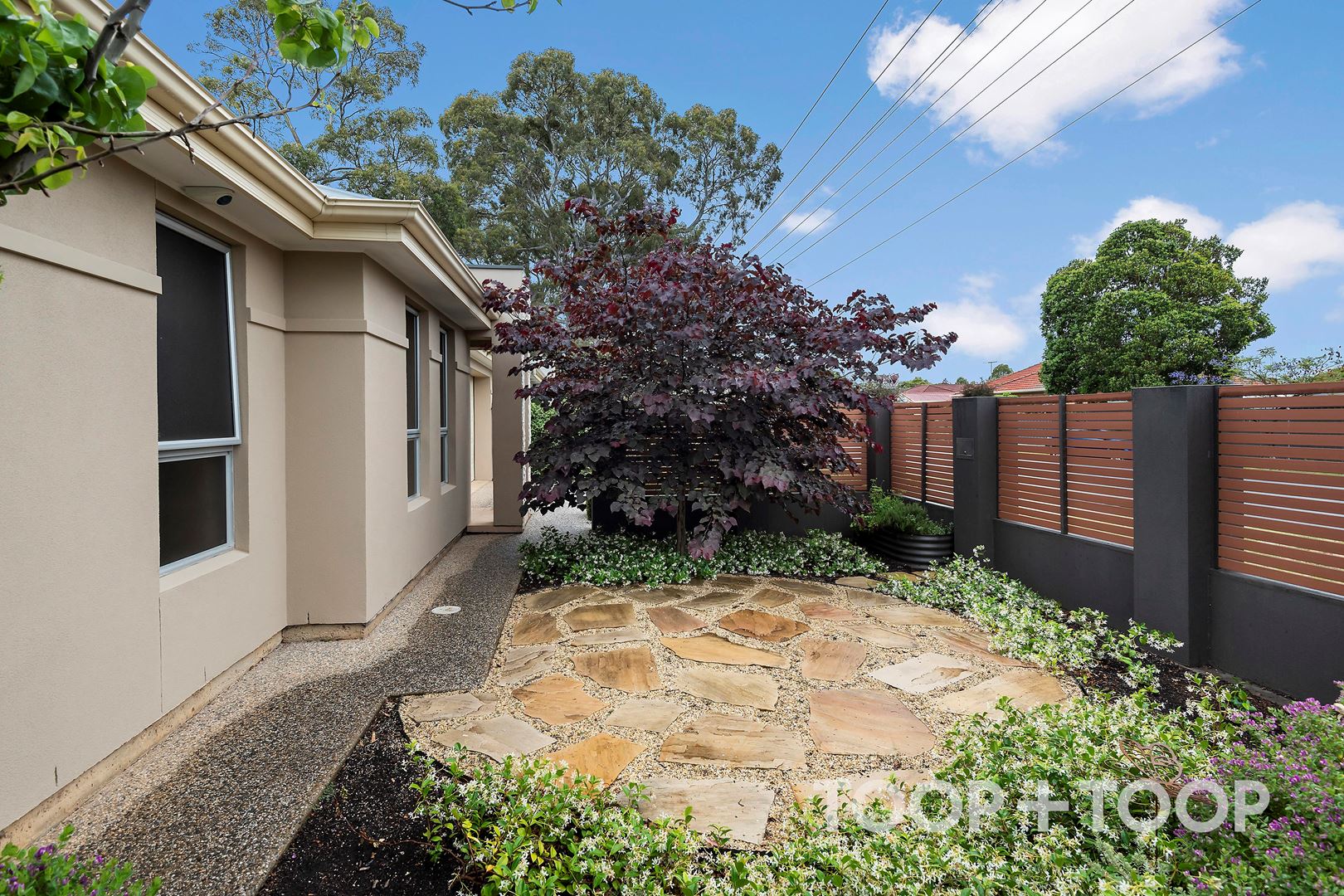 116A May Street, Woodville West SA 5011, Woodville West - Thumbnail 2