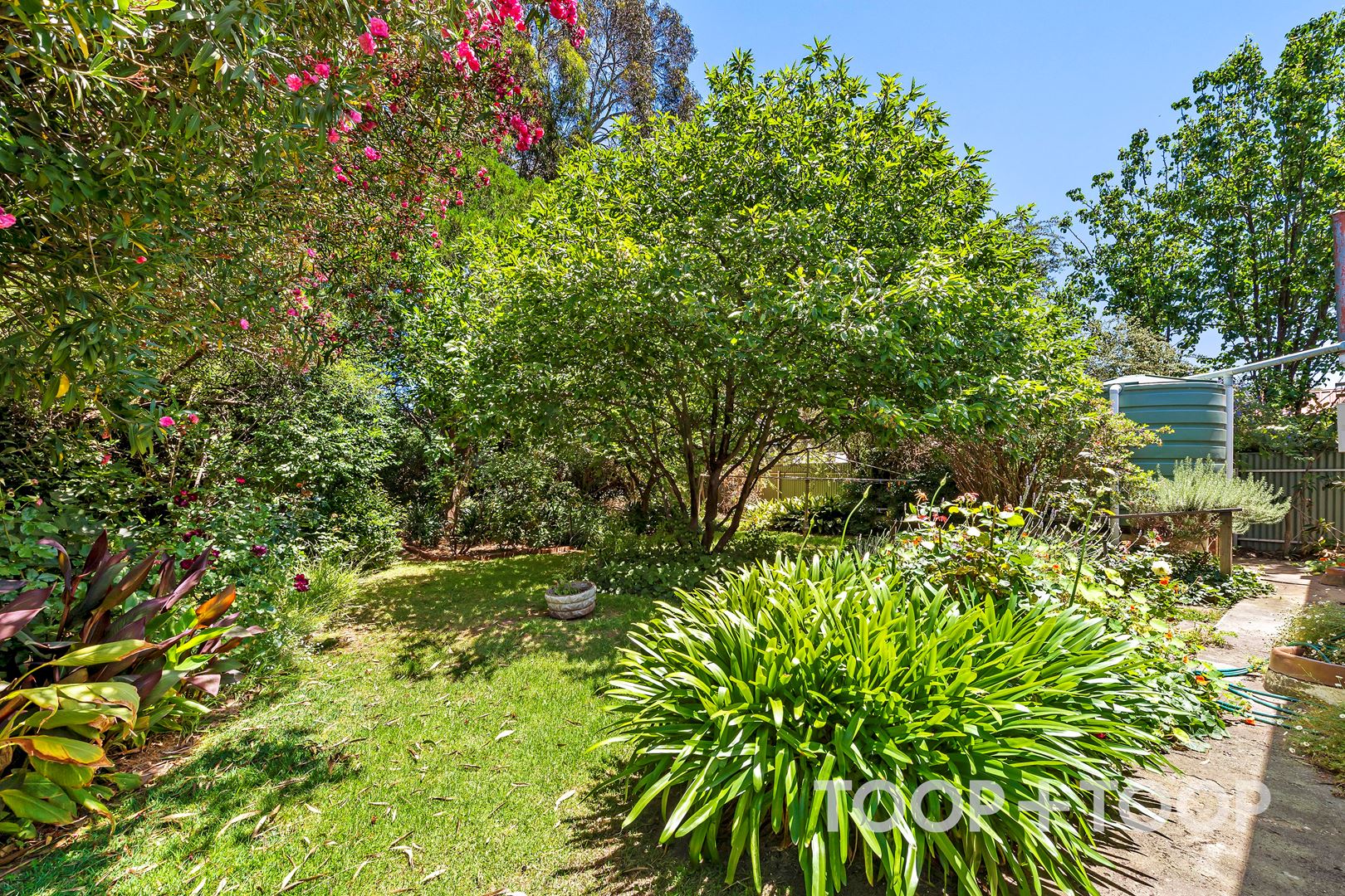 5 Heathpool Road, Heathpool SA 5068, Heathpool - Thumbnail 3