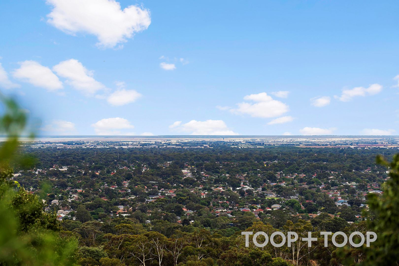 22 Greenridge Court, Wynn Vale SA 5127, Wynn Vale - Thumbnail 3