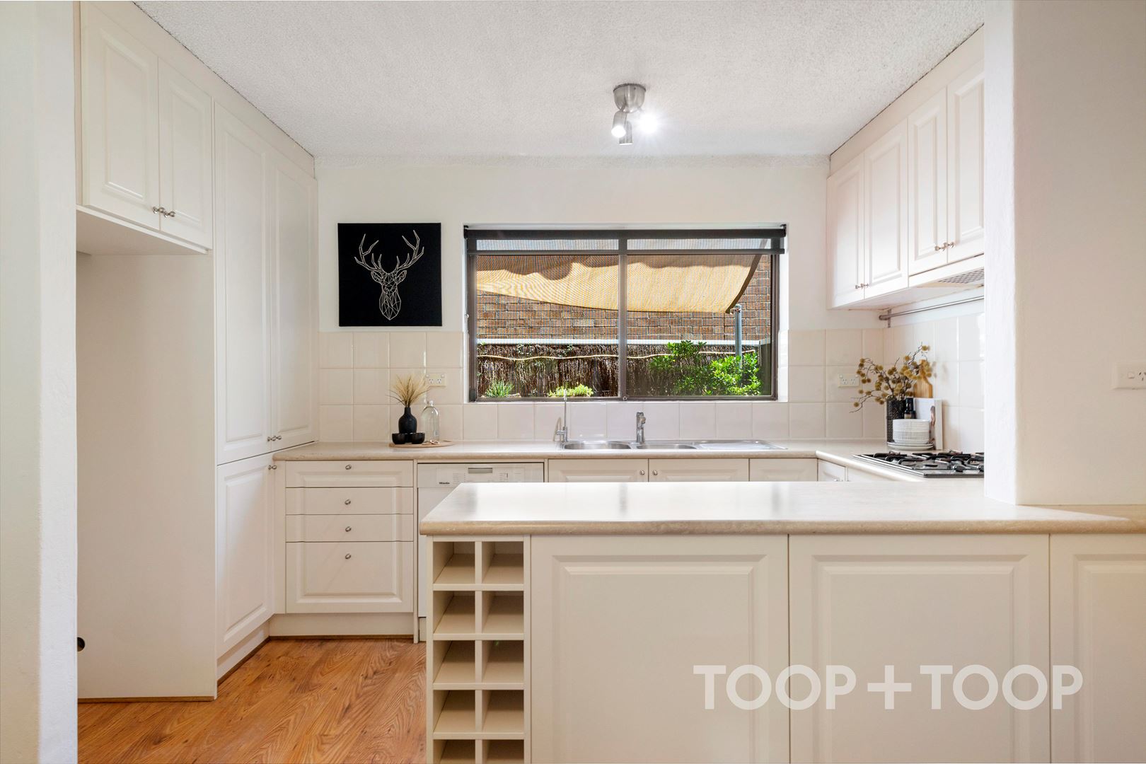 3 / 16 Park Street, Hyde Park SA 5061, Hyde Park - Thumbnail 4