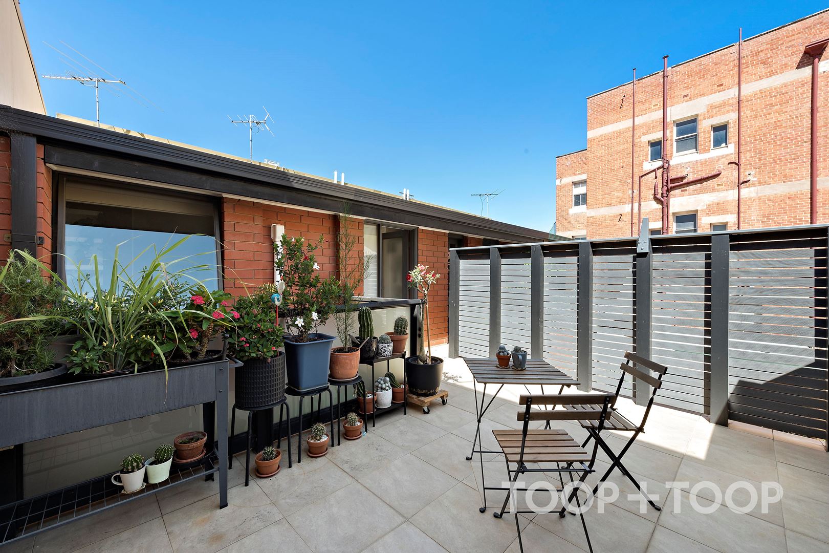 349A Angas Street, Adelaide SA 5000, Adelaide - Thumbnail 4