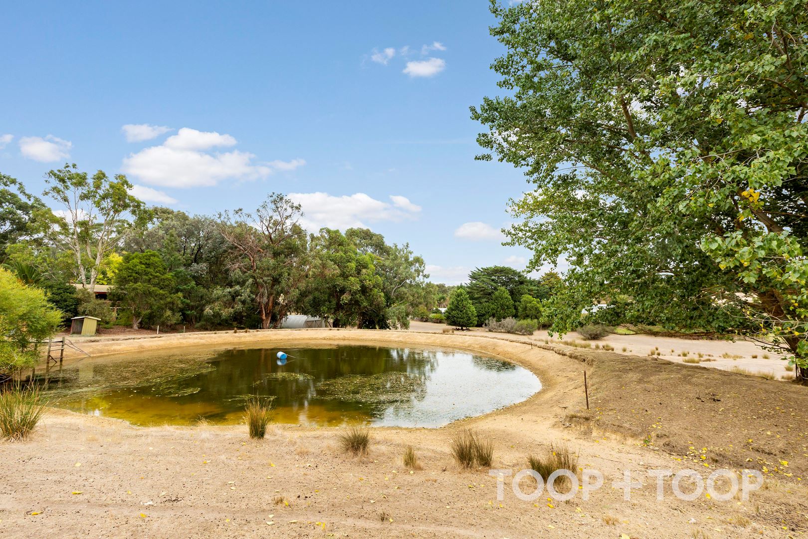 55 Murphy Road, Houghton SA 5131, Houghton - Thumbnail 5