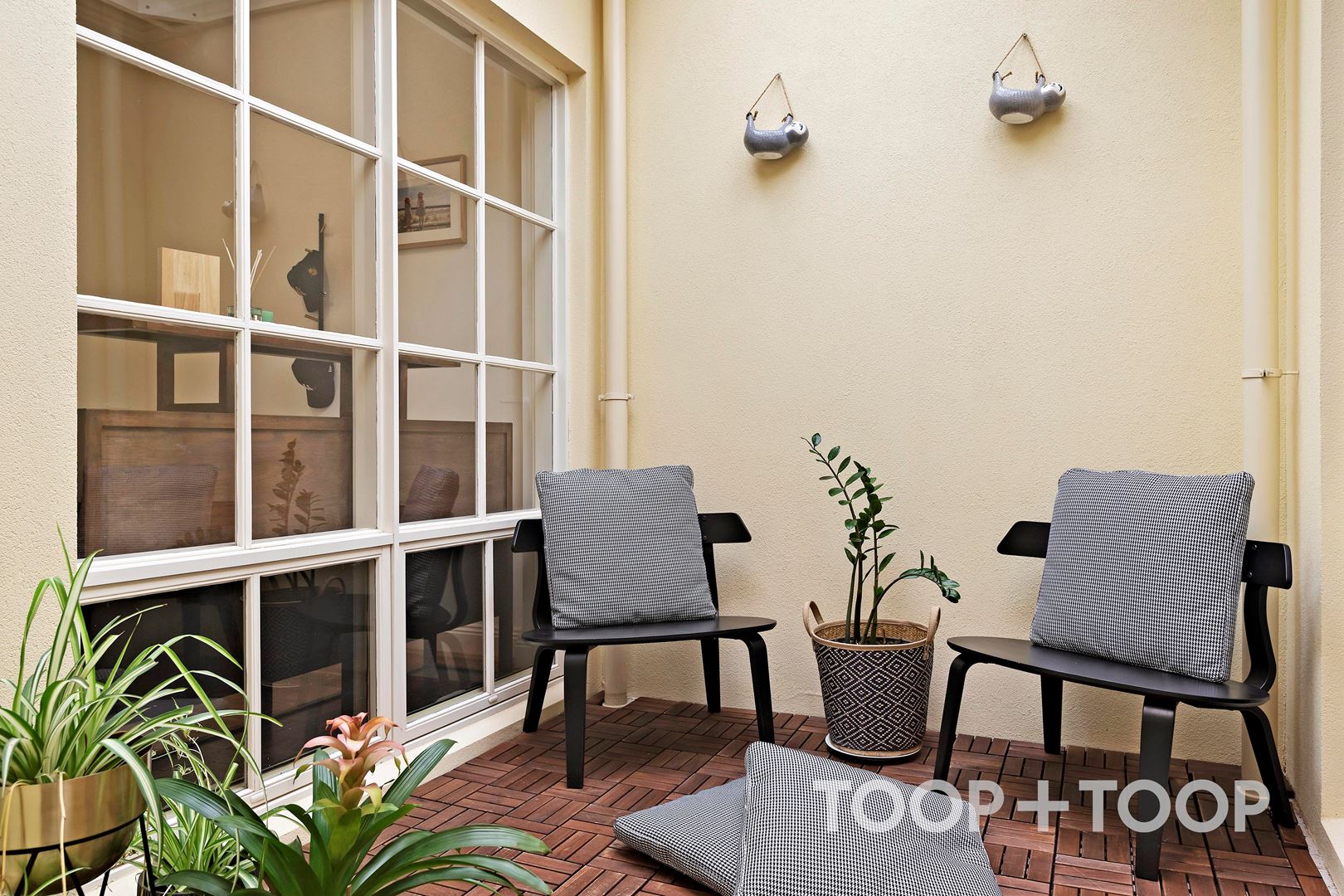 34 Windsor Road, Glenunga SA 5064, Glenunga - Thumbnail 3